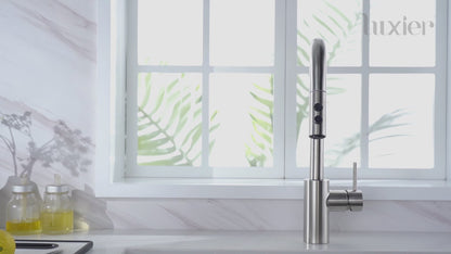 KTS21-TM Single-Handle Pull-Down Sprayer Kitchen Faucet with 2-Function Sprayhead 206 in Matte Black